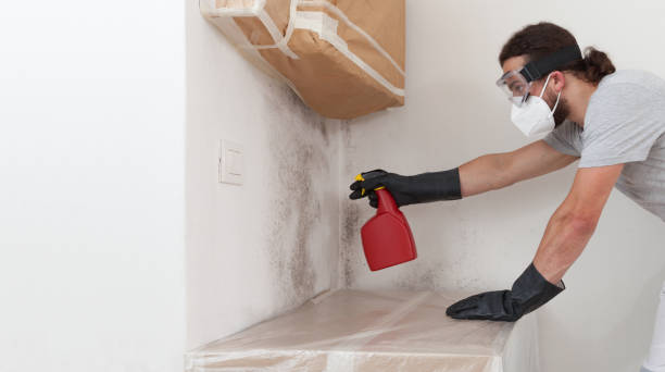 Professional Crawl Space Mold Remediation technician working in Manns Choice, PA